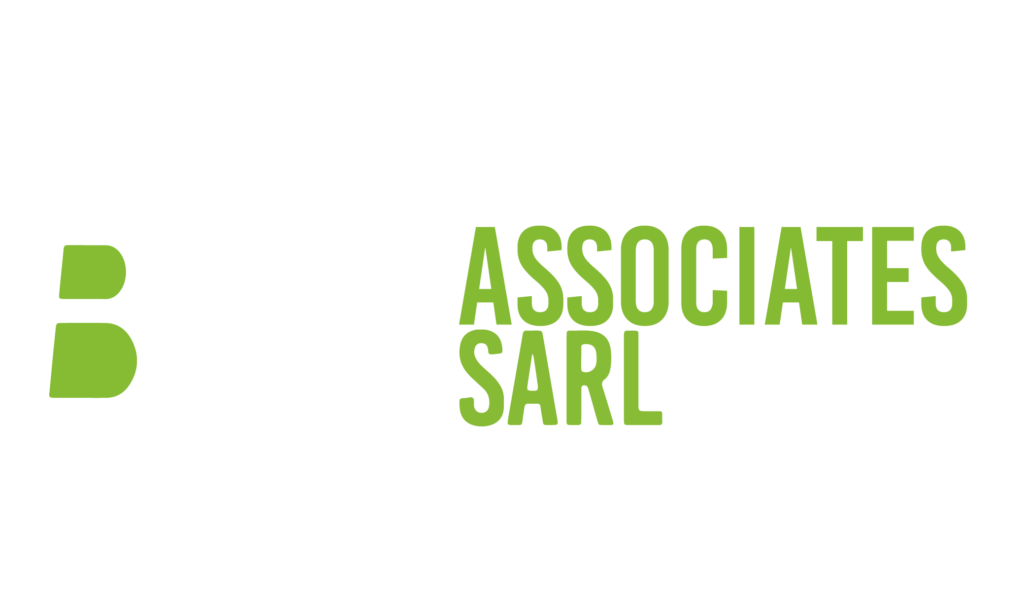 BM ASSOCIATES SARL - Cabinet d’audit et de conseil basé à Kinshasa, en République Démocratique du Congo (RDC)